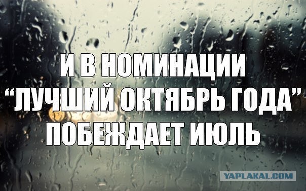 Смешные картинки №...дцать