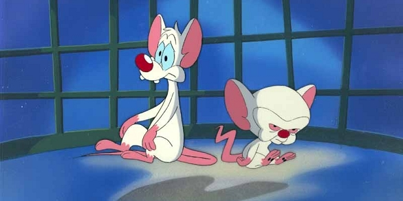 Дамы и господа, это просто агонь!