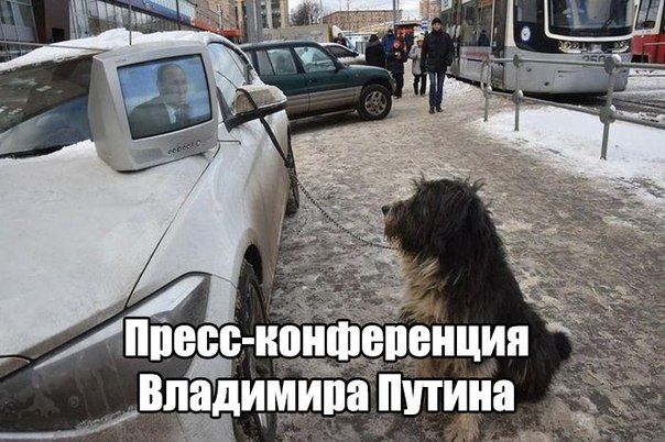 Картинки разные из сети