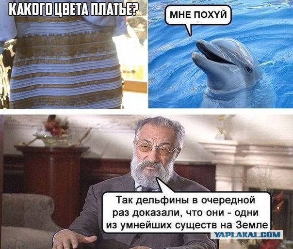 Один картинко