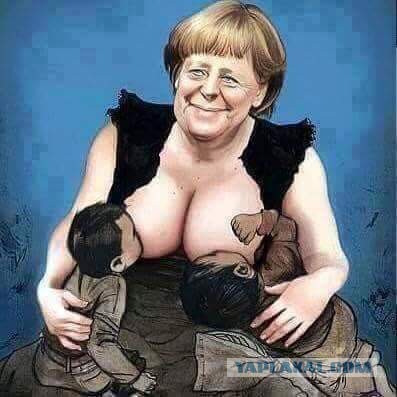 Немецкие политики переходят от слов к делу