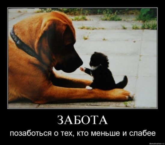 Подборка прикольных картинок