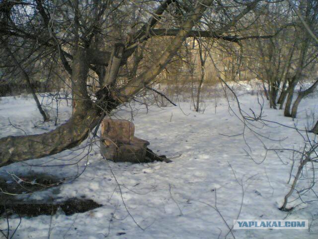 Подборка картинок на среду