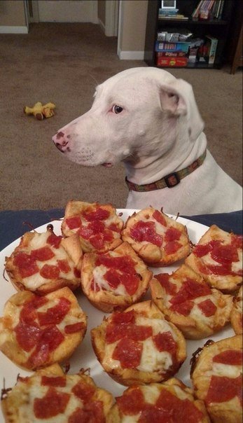 Подборка картинок на среду