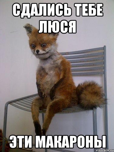 Муж пропал
