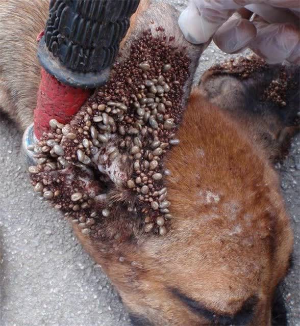 Открытие весенней охоты!