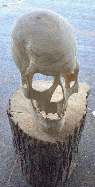 Подборка интересных и веселых картинок