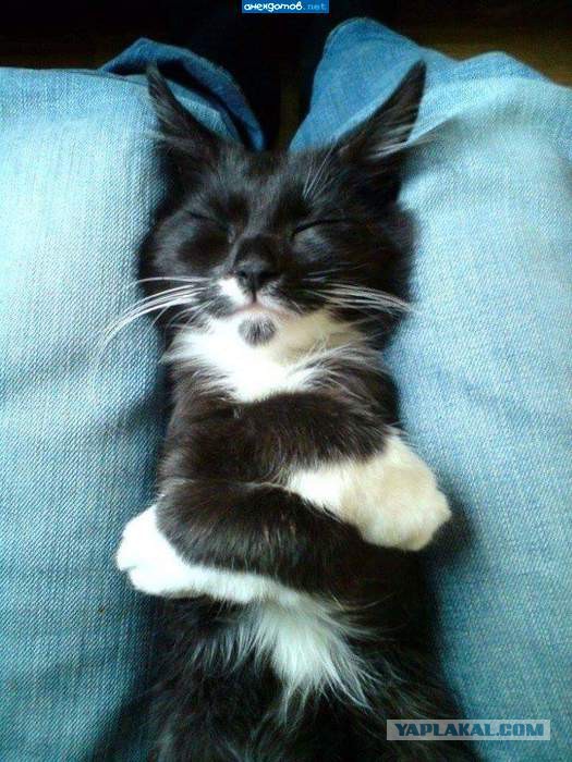 Очередная подборка фоток