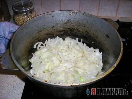 ПЛОВ