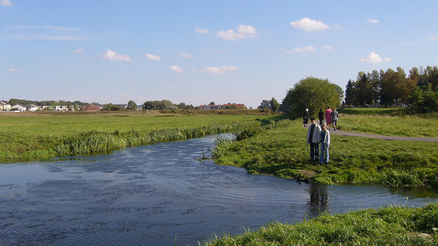 Реки Велна и Нельба пересекаются под прямым углом и не смешиваются