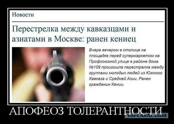 Причина массовой драки из среднеазиатских источников