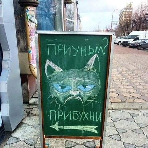 Порция картинок из сети