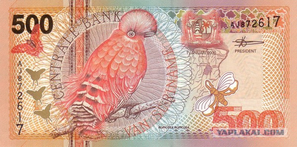 Самые красивые банкноты мира