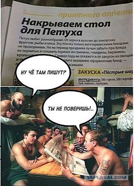 Сбор баянов 2017