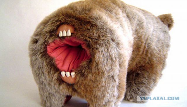 30 игрушек, которые вы никогда бы не купили своему ребёнку