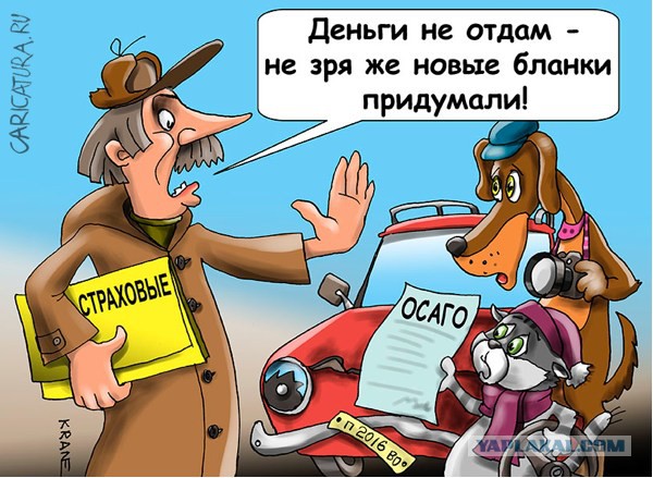 Часть выплат по ОСАГО предложили перенести на автовладельцев