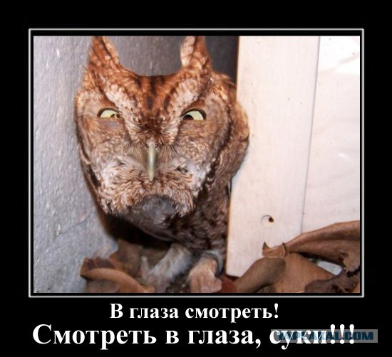 Не будите во мне зверя!