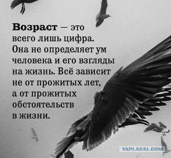 Так, граждане тунеядцы! Картинки, значит, смотрим