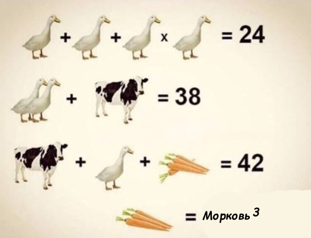 Анекдоты, соц-сети, истории и картинки с надписями