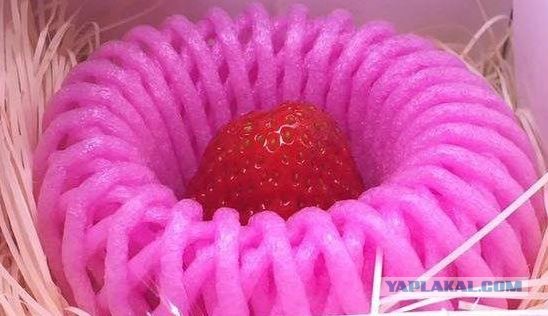 Паста с сардинами (Pasta con le sarde)