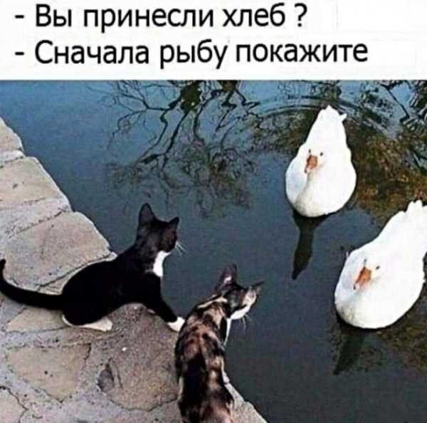 Нога Вадима