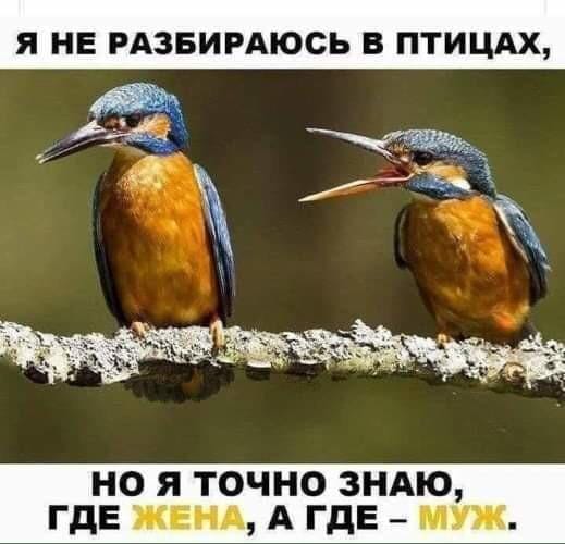 Пост картинок в понедельник 25.05. Всяких разных обо всём