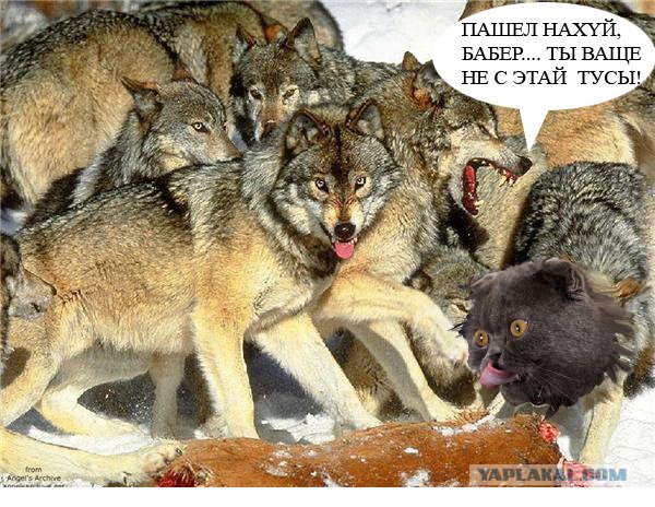 Отжабьте меня пожалуйста