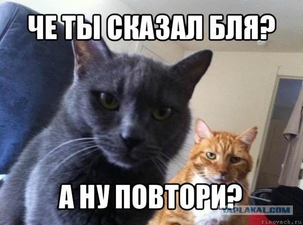 В реестр по слежке за пользователями внесены и «ЯПлакалъ» и «Пикабу»