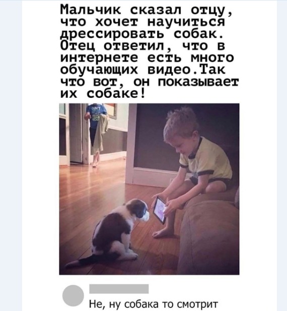Бредзона 28.01.2021