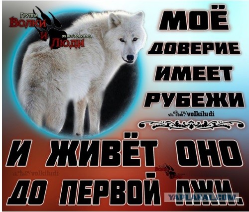 В Новгородской области парень застал свою девушку с любовником и в ярости убил обоих