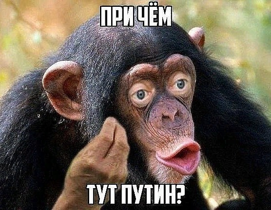 В России подорожает всё!