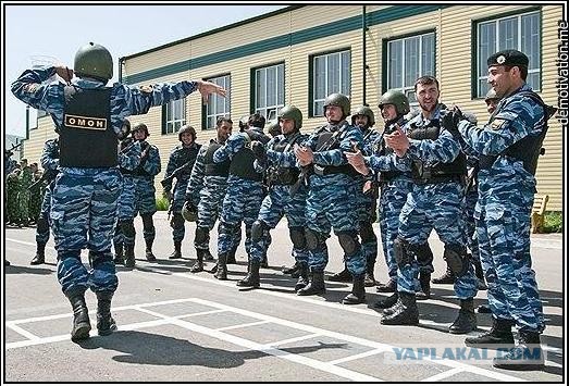 В Саратове арестованы спортсмены из Чечни после драки с полицией.