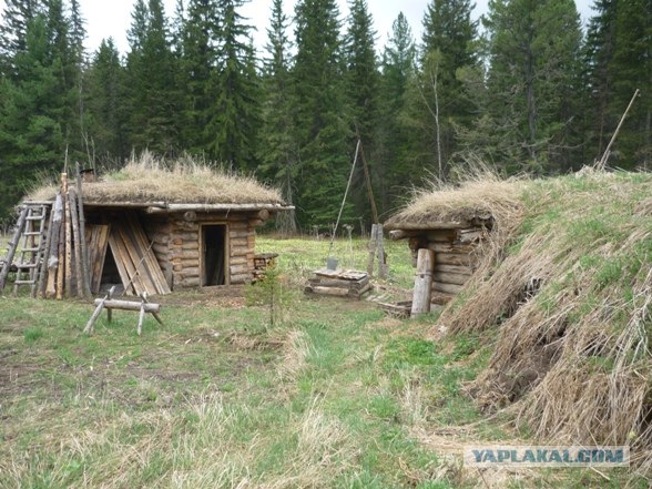 Лесное жилище