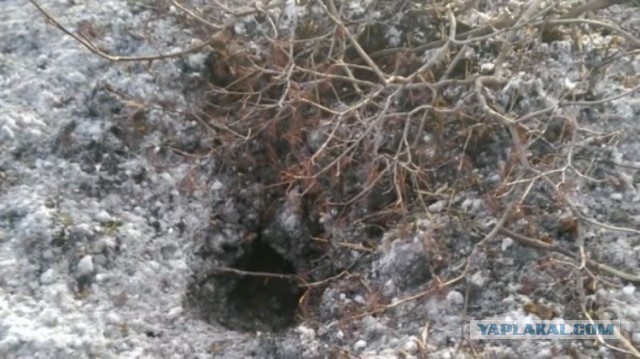 Же сви Волноваха