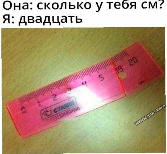 16730636.jpg