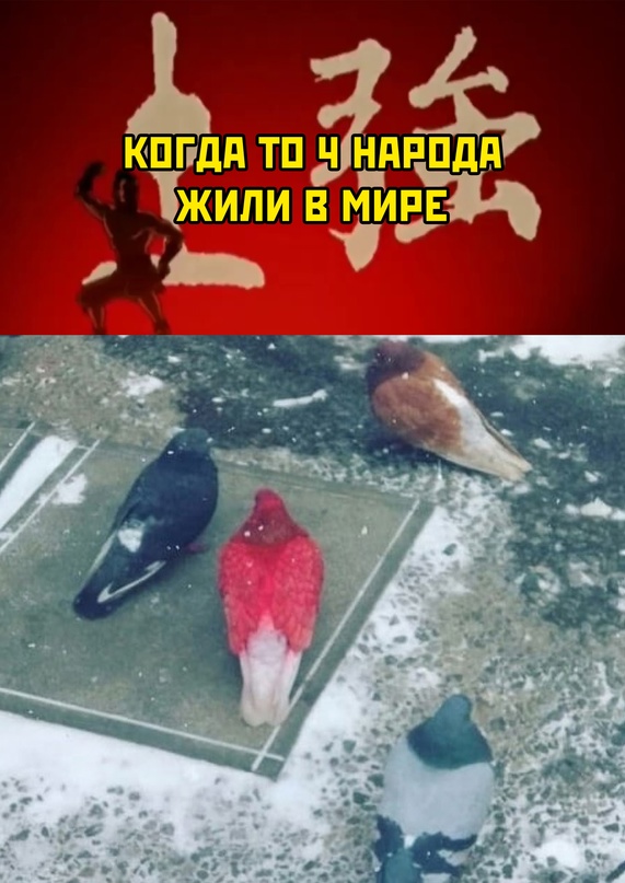 Весёлый полтишок 27.06.22