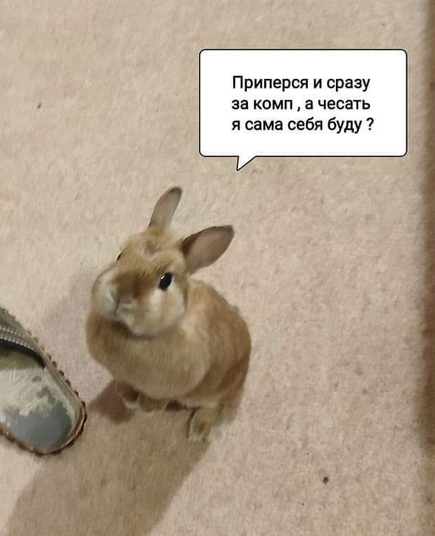 Грызуносуббота