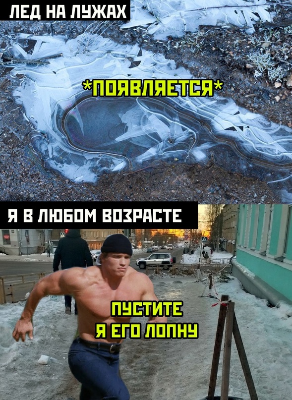 Картинки и мемы. Выходные близко...