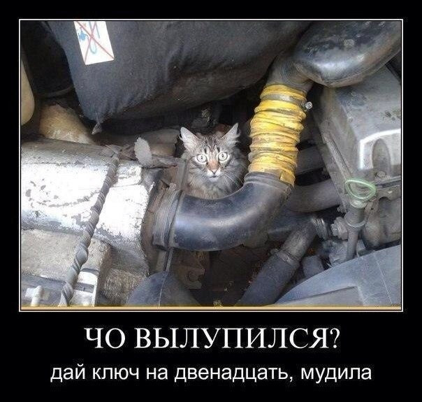Придется Милаху как работника оформлять!