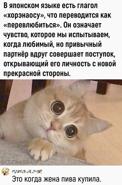 Алкопост  23.12.22