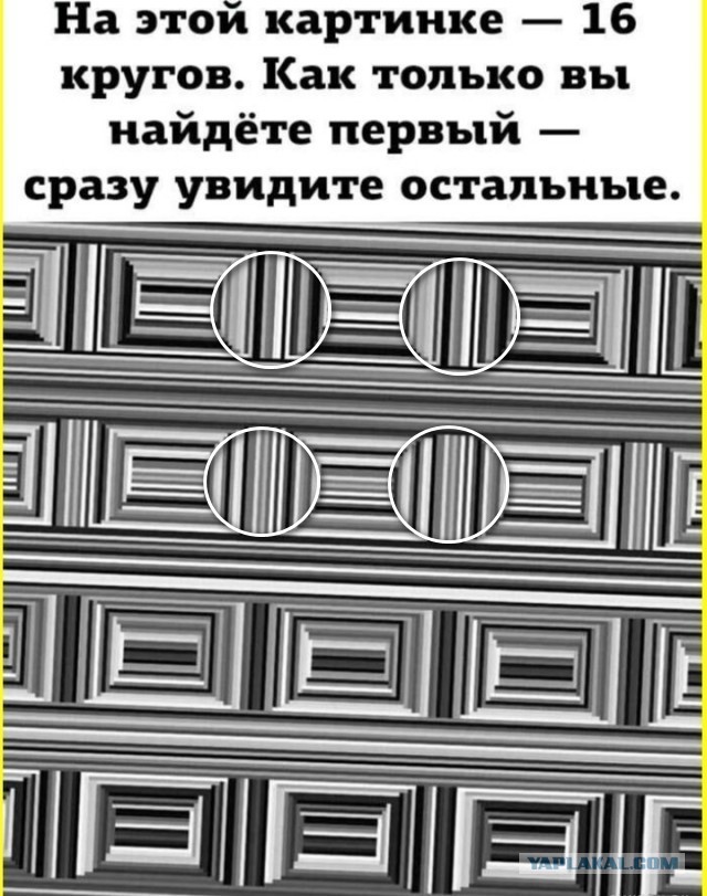 Забавные картинки, шутки из этих ваших интернетов