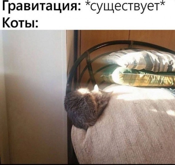 Так себе картинки 28.07.24