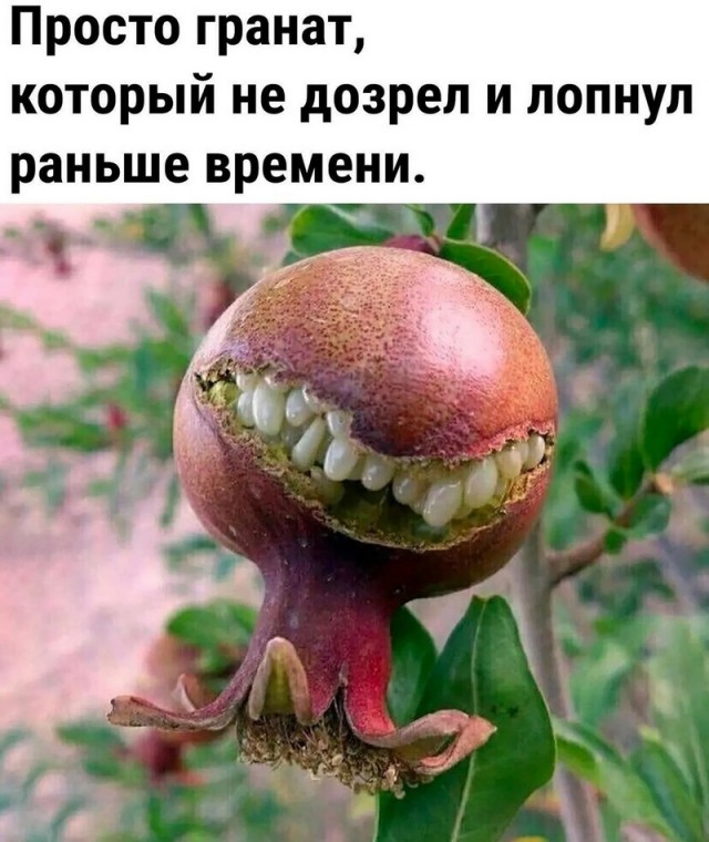 БoянЫ