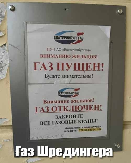 Веселые картинки на пятницу (15.11)