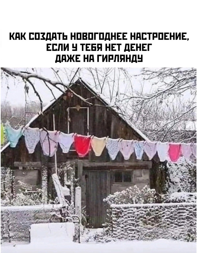 Весёлый полтишок 25.12.24