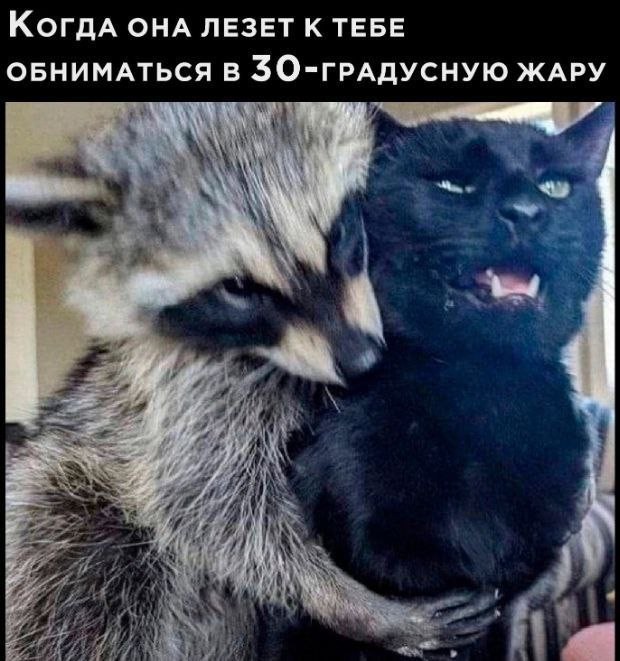 Веселые картинки в понедельник (18.08)