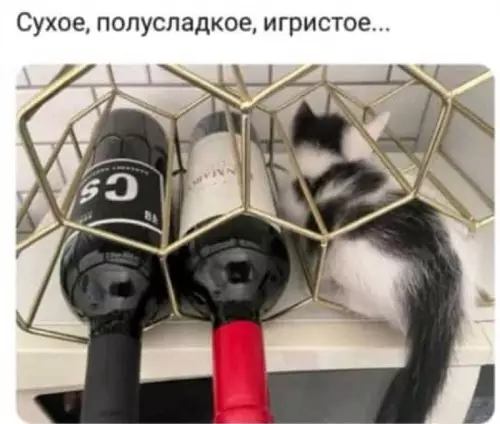 Картиночки, баянчики 12 марта