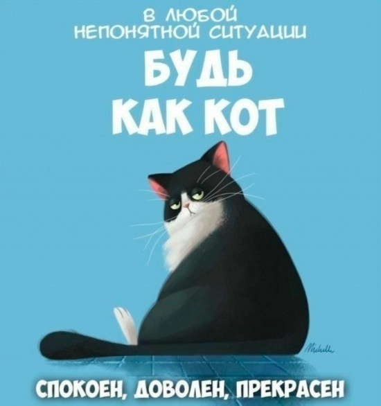 Картинки для деградации 180 (разной степени свежести)