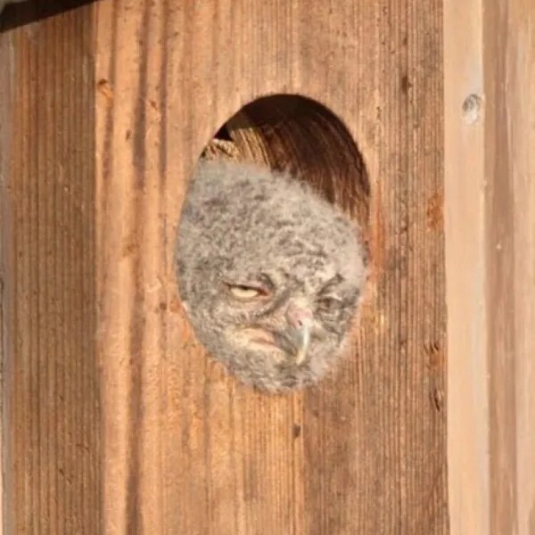 Забавные и интересные фото из Сети 23.04.26