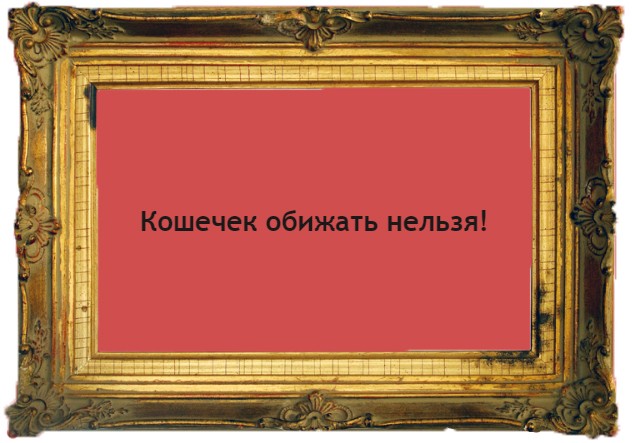 Кошечек обижать нельзя